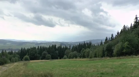 Summer nature 4 Video stock 46286918