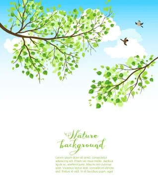 Summer nature background Stock Illustration