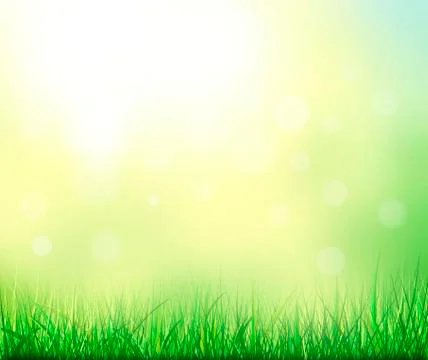 Summer nature background. Stock Illustration