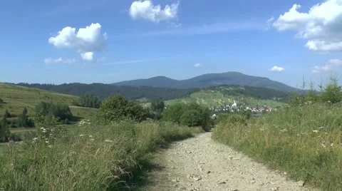 Summer nature Video stock 46288483