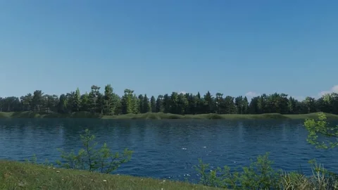 Summer Nature 库存影片 171851455