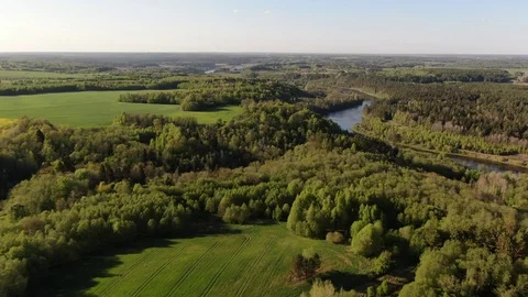 Summer nature landscape Stock Footage 107973256