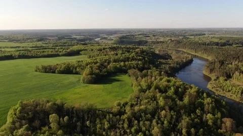 Summer nature landscape with river Stock Footage 107973279
