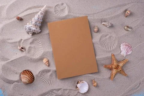 Summer nautical marine background with shell Stock-Fotos