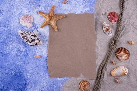 Summer nautical marine background with shell Stock-Fotos