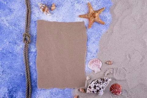 Summer nautical marine background with shell Stock-Fotos