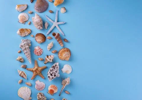 Summer nautical marine background with shell Stock-Fotos