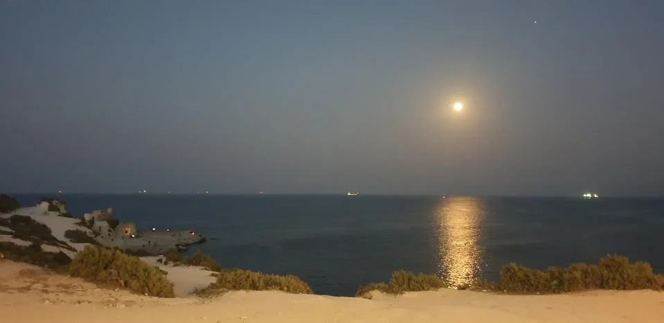 Summer Night Moon Light Over the Sea Stock Photos