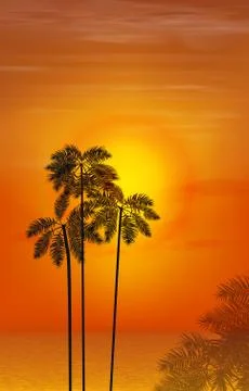 Summer night. Palm trees on the background of sunset. Vector illustration Stock Illustration