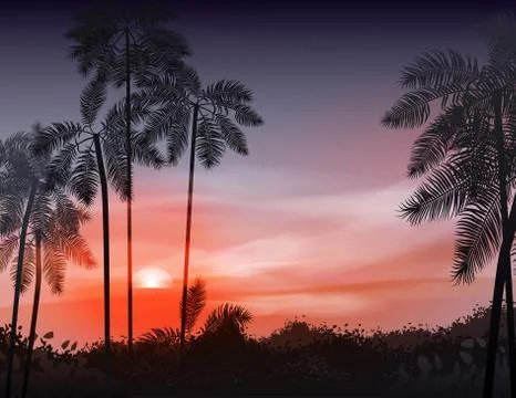 Summer night. Palm trees on the background of sunset. Vector illustration Stock Illustration