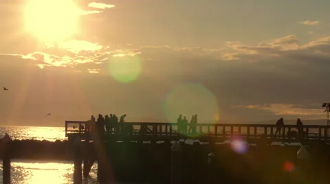 Summer Ocean Scene Stock Footage 41003132