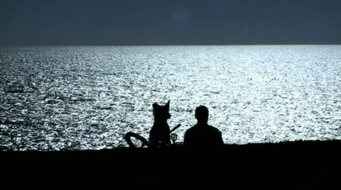 Summer Ocean view Stock Footage 10909411