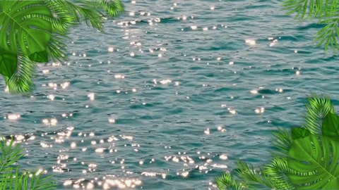 Summer ocean water background with palm and monstera leaves frame Stock Footage 337231768
