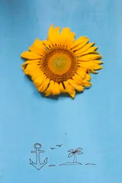 Summer or beach idea Stock Photos