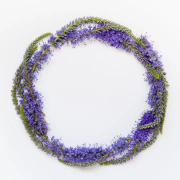 Summer or spring round frame with colorful flowers on white background. Flat Stock Photos