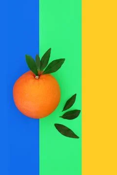 Summer Orange Citrus Fruit for Good Health Stock Photos