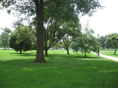 Summer at OSU Stock Photos