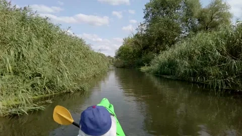 Summer outdoor activity Stock Footage 219395474