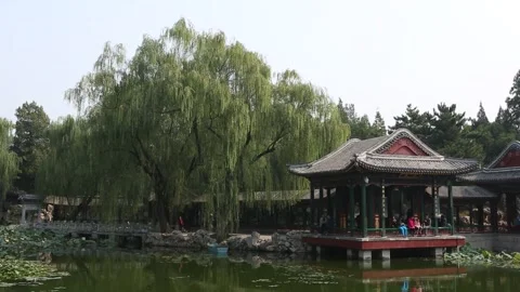 Summer Palace/Yiheyuan Stock Footage 203094401