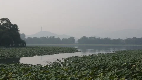 Summer Palace/Yiheyuan Stock Footage 203103398