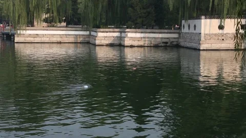 Summer Palace/Yiheyuan Stock Footage 203104195