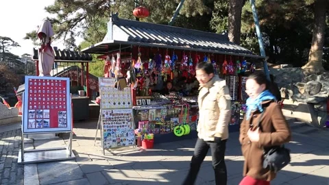 Summer Palace/Yiheyuan Stock Footage 203213756