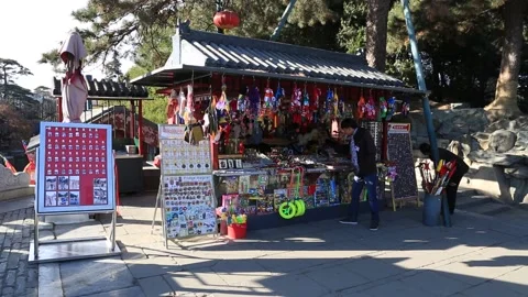 Summer Palace/Yiheyuan Stock Footage 203214335