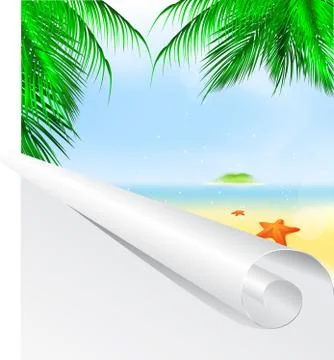 Summer palm beach Stock Illustration