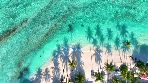 Summer palm tree and Tropical beach with blue of seashore  Stock Footage 243735085