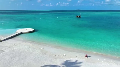 Summer Palm trees shadow on the sandy beach Stock Footage 240103372