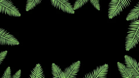 SUMMER PALMS FRAME Stock-Footage 242939725