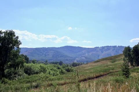 Summer panoramic landscape with meadows of fields and mountains. A large green 库存照片