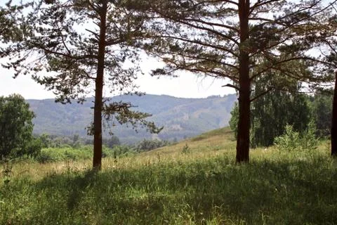 Summer panoramic landscape with meadows of fields and mountains. A large green Stock Photos
