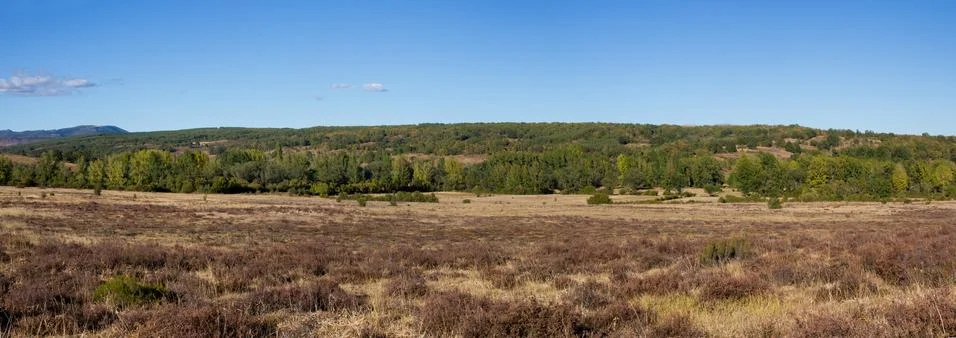Summer Panoramic Landscape 스톡 사진