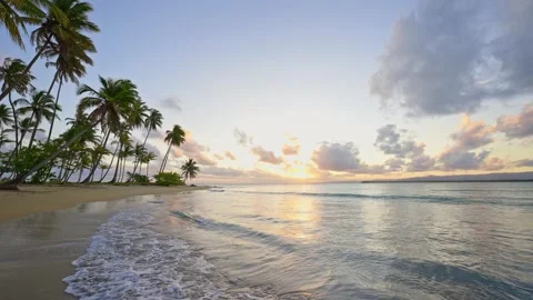 Summer panoramic sunset on a tropical paradise beach. Stock-Footage 344329253