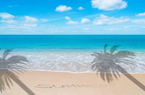 Summer at paradise with palm イラスト素材