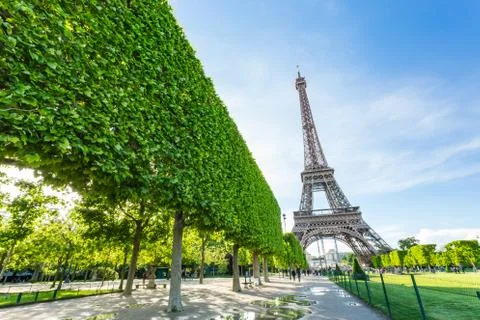 Summer in Paris and the Eiffel tower Photos