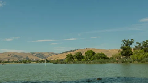 Summer at Park 3 Stock Footage 41457998