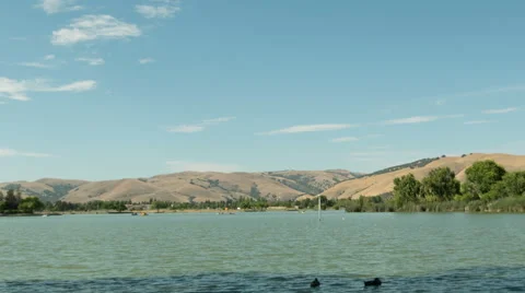 Summer at Park 4 Stock Footage 41458404