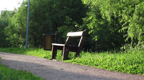 Summer park bench Stock Footage 68102817