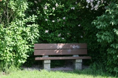 Summer Park Bench Fotos de archivo