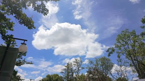 Summer Park Blue Sky and White Clouds Aerial Photography Видео 347425853