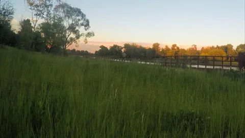 Summer park in the evening timelapse 스톡 동영상 77283499