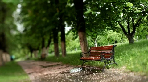 Summer in a park Stock Footage 719019