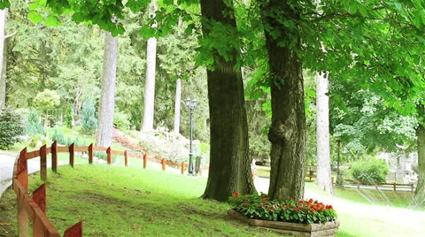 Summer park 스톡 동영상 32370952