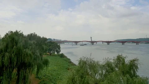 Summer park: Stockbeeldmateriaal 80191149