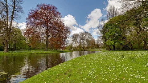 Summer in the Park 库存影片 98502587