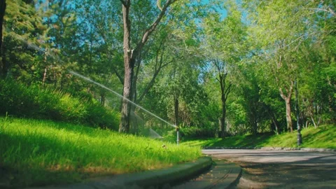Summer Park Path Close-up Stock Footage 295857606