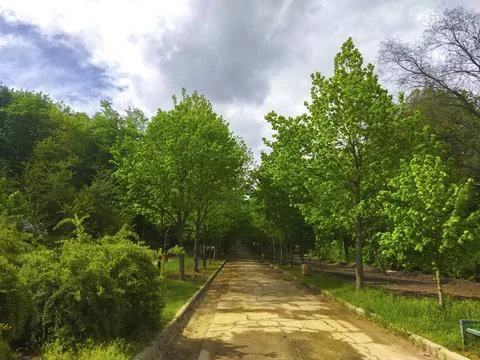 Summer park path way road Stock Photos