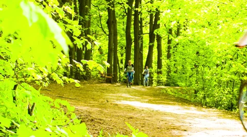 Summer park with people Stock Footage 39057423